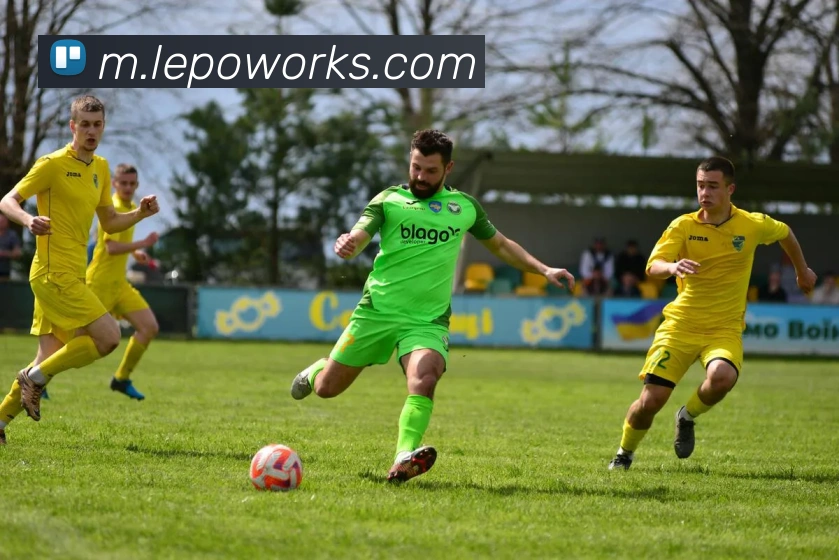 App功能展示图